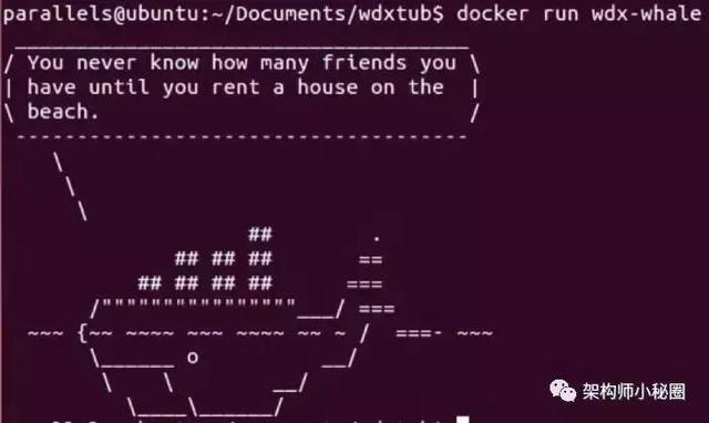 架構(gòu)師分享 Docker 新手入門完全指南