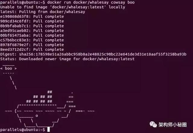 架構(gòu)師分享 Docker 新手入門完全指南