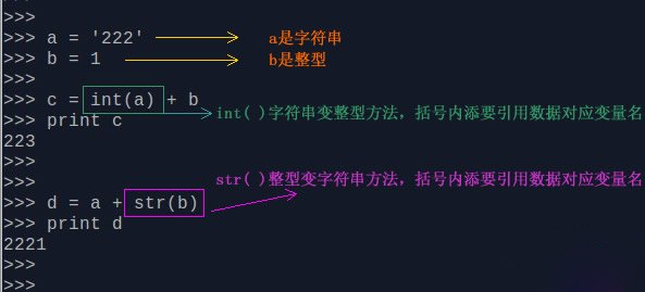 零基礎(chǔ)如何學(xué)好Python 之int 數(shù)字整型類型 定義int()范圍大小轉(zhuǎn)換