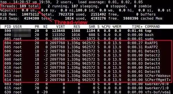 在Linux系統中有哪些命令可以用于查看進程？