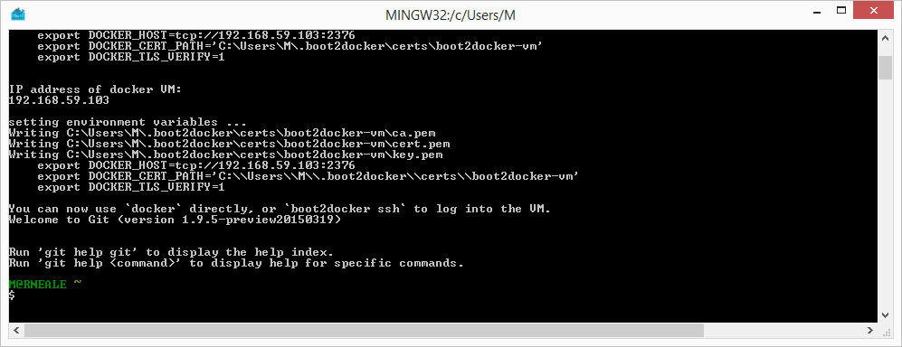 Windows Docker 安裝