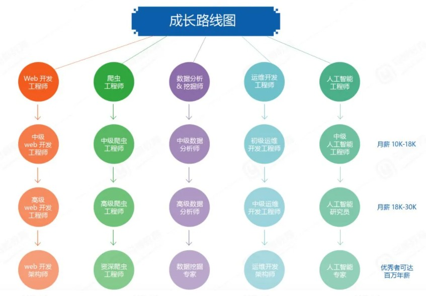 新手學IT先學哪些？