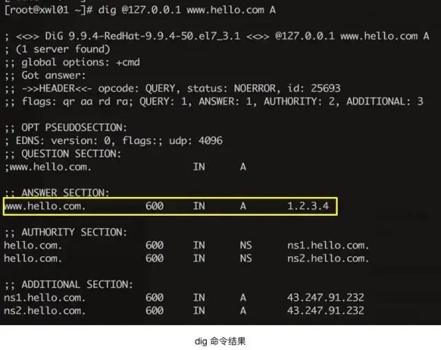 一文搞懂 DNS 基礎(chǔ)知識，收藏起來有備無患~