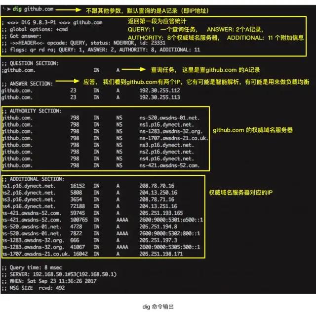 一文搞懂 DNS 基礎(chǔ)知識，收藏起來有備無患~