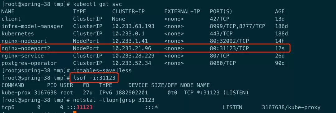 記一次 K8S HostPort 引發(fā)的服務(wù)故障排錯指南