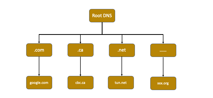 探討 DNS 解析